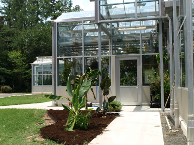 Exterior of greenhouse